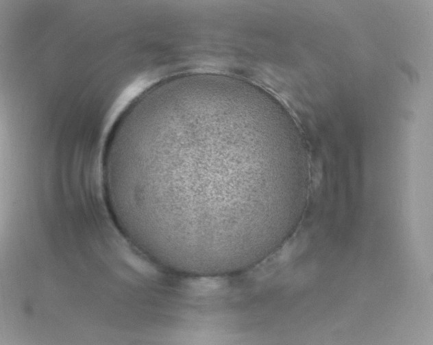 X0000115580102200911241521