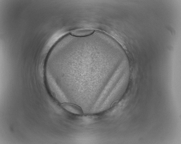 X0000115580103200911241521