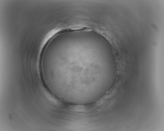 X0000115580104200911241521