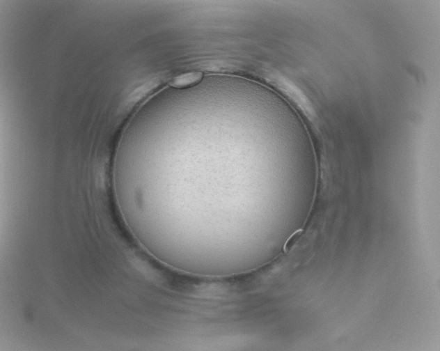 X0000115580105200911241521