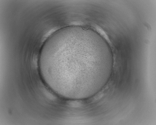 X0000115580106200911241521