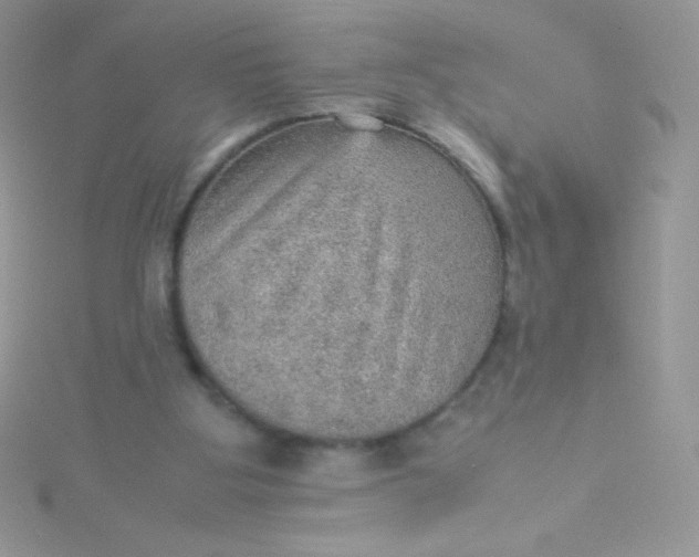 X0000115580107200911241521