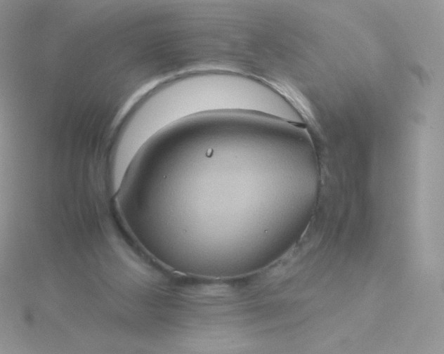 X0000115580108200911241521