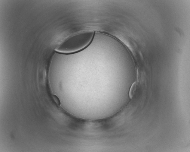 X0000115580109200911241521