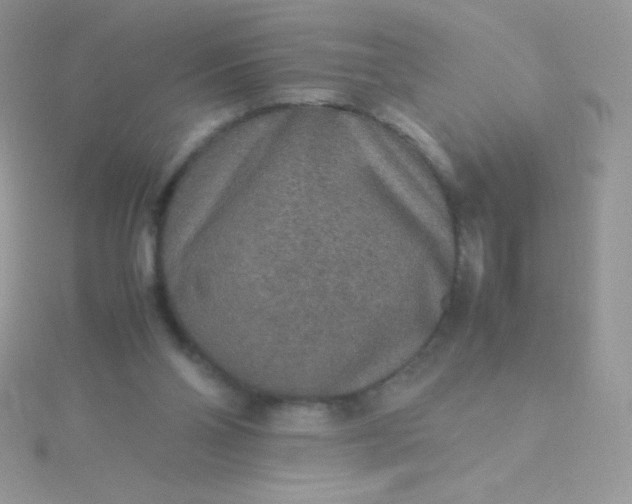 X0000115580110200911241521