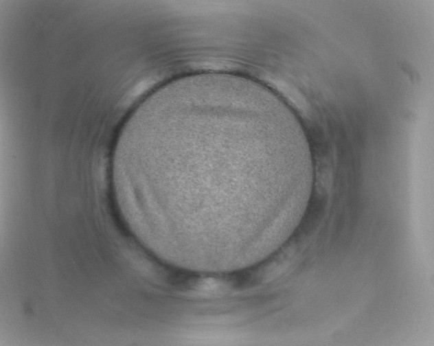 X0000115580111200911241521