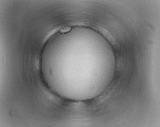 X0000115580112200911241521