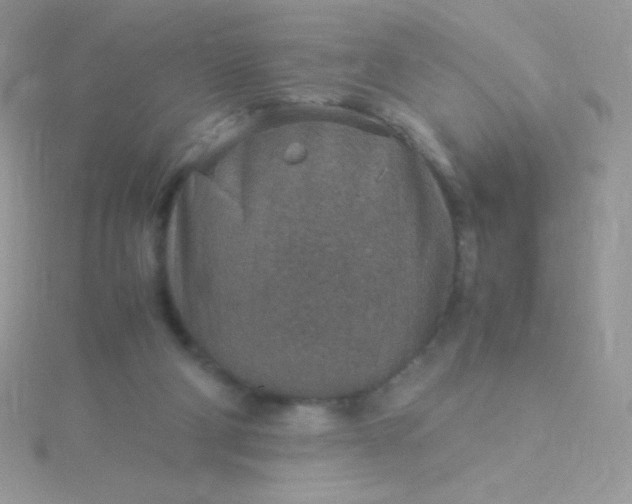 X0000115580114200911241521