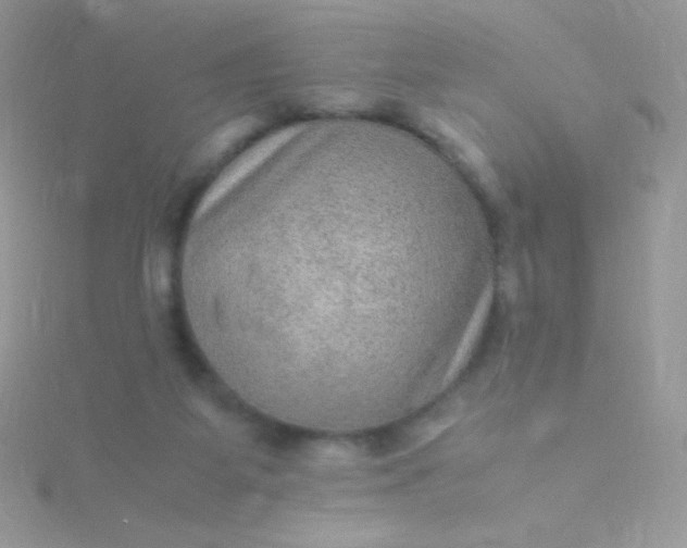 X0000115580115200911241521