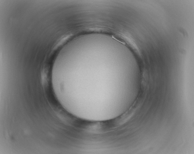 X0000115580116200911241521