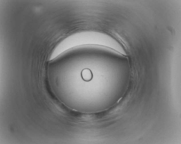 X0000115580117200911241521