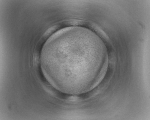 X0000115580119200911241521