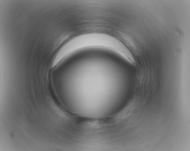 X0000115580120200911241521