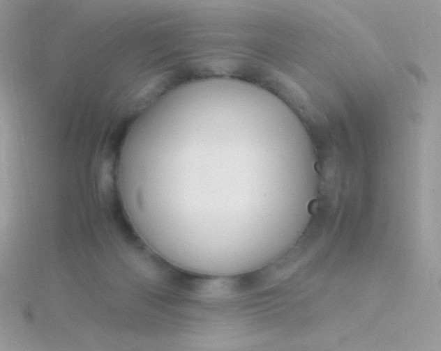 X0000115580122200911241521