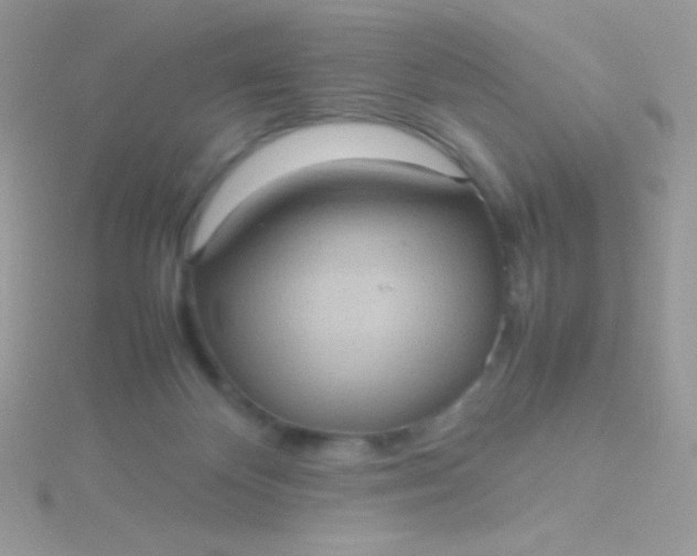 X0000115580124200911241521