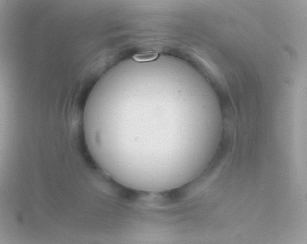 X0000115580125200911241521