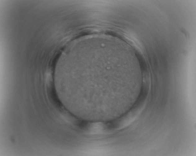 X0000115580127200911241520