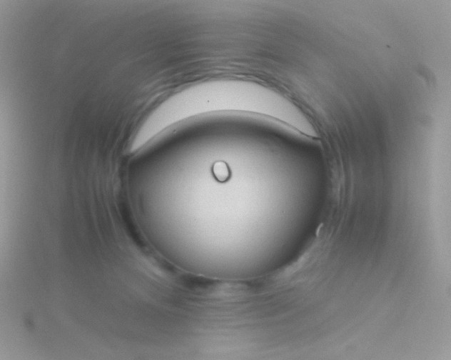 X0000115580128200911241520