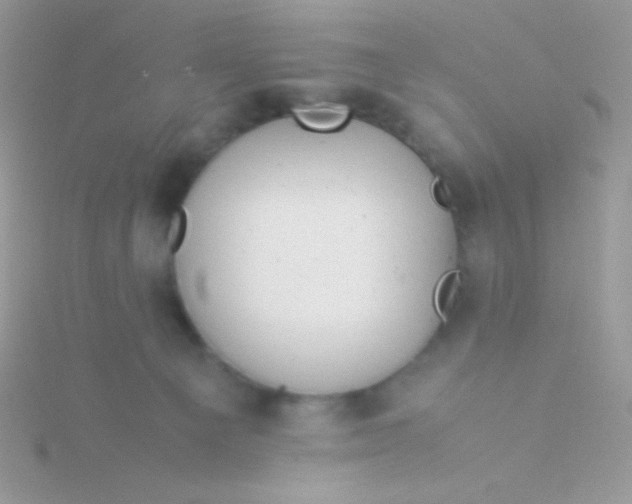 X0000115580129200911241520