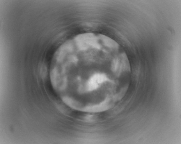 X0000115580130200911241520