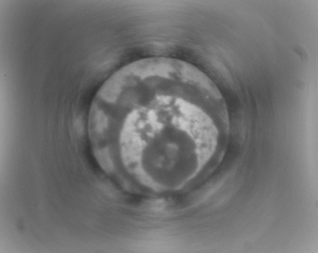 X0000115580131200911241520