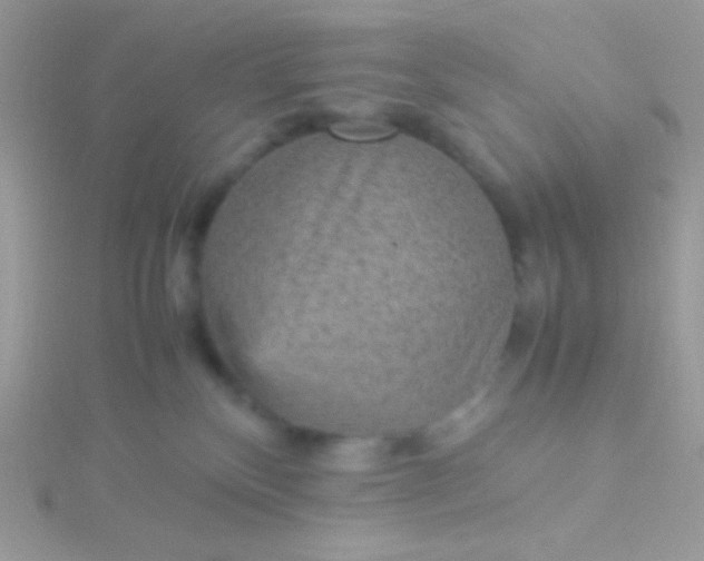 X0000115580136200911241520