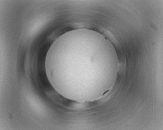 X0000115580142200911241520