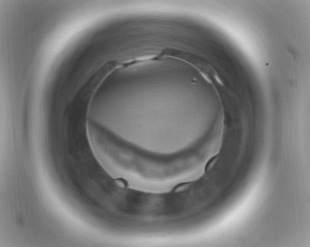 X0000115580143200911241520