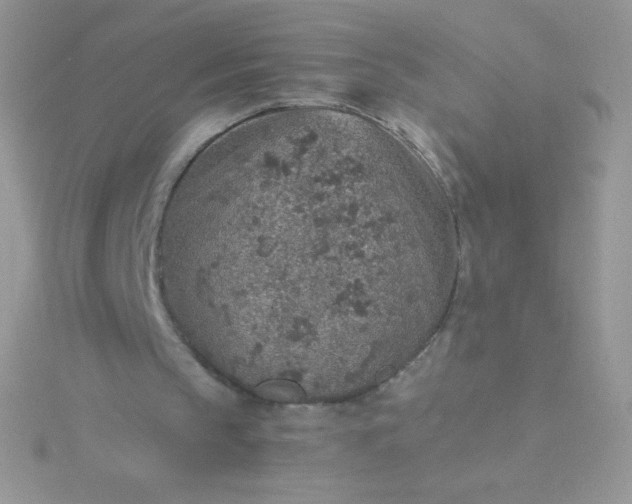 X0000115580145200911241520