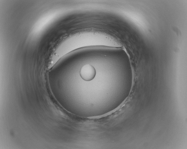 X0000115580146200911241520