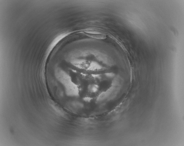 X0000115580147200911241520