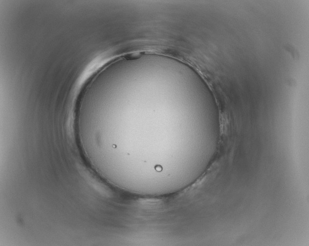 X0000115580150200911241520