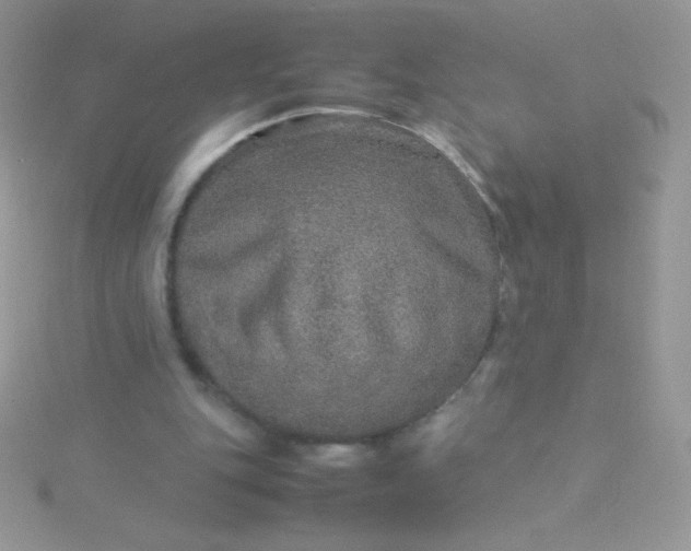 X0000115580151200911241520