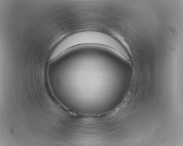 X0000115580154200911241520