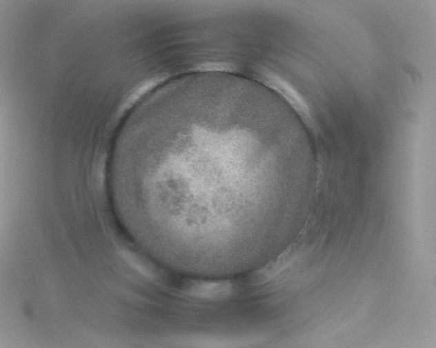 X0000115580155200911241520