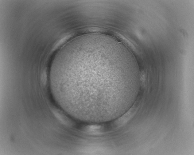 X0000115580158200911241520