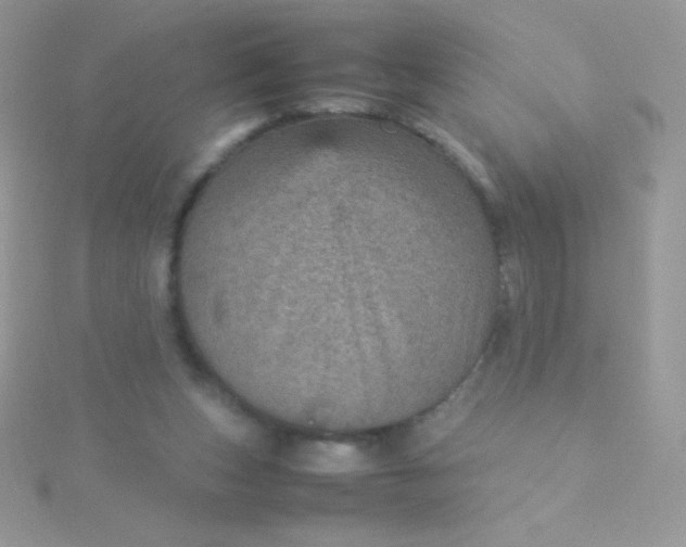 X0000115580159200911241520