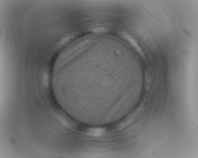 X0000115580161200911241520