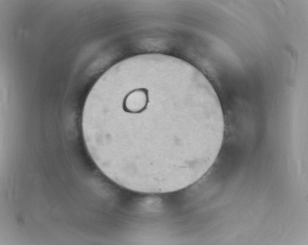 X0000115580162200911241520