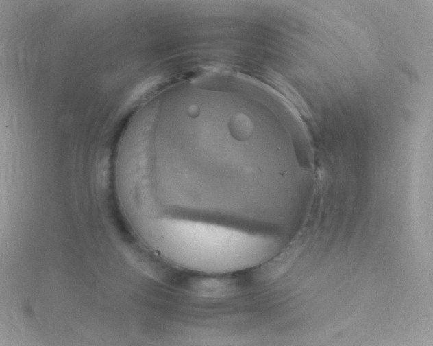 X0000115580163200911241520