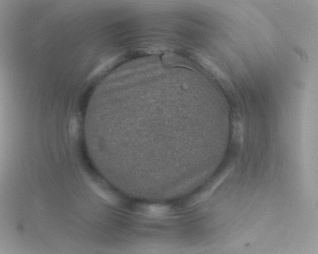 X0000115580165200911241520