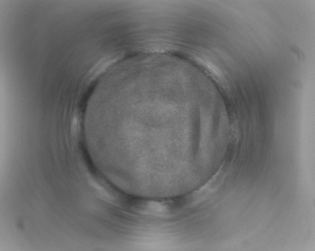 X0000115580166200911241520