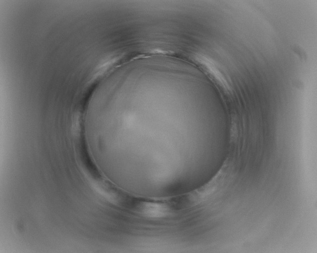 X0000115580167200911241520