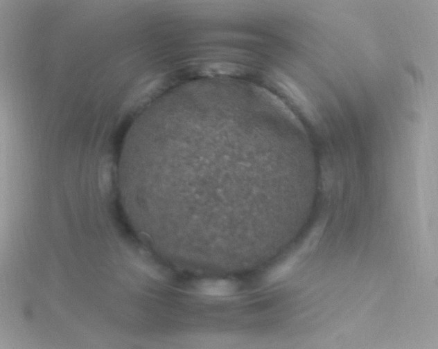 X0000115580169200911241520