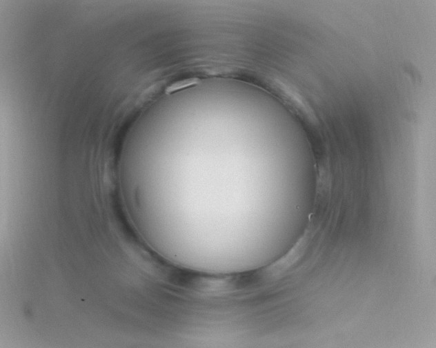 X0000115580170200911241520