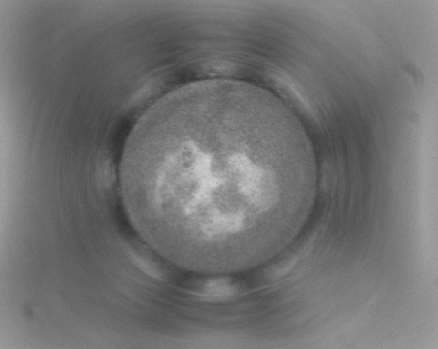 X0000115580173200911241520