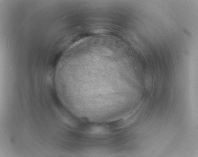 X0000115580175200911241520