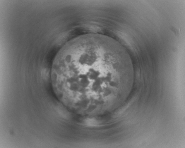 X0000115580177200911241520