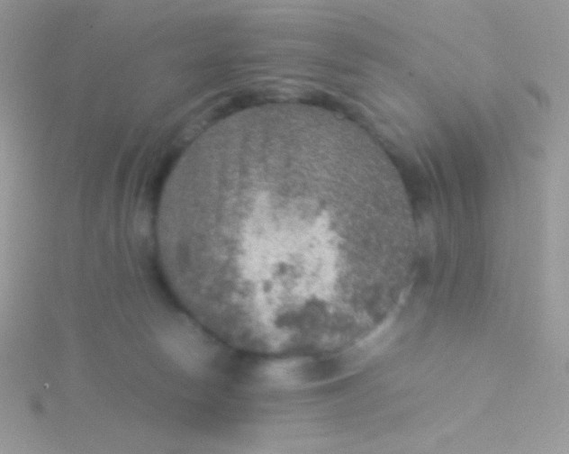 X0000115580178200911241520