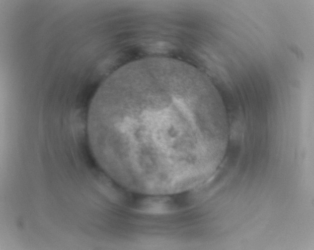 X0000115580179200911241520